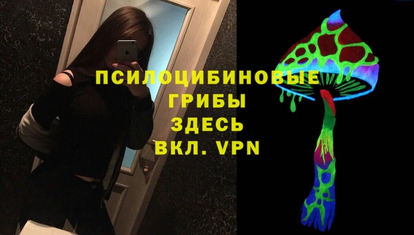 ешки Анива