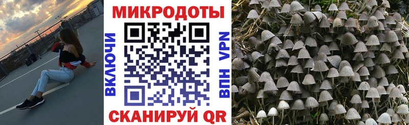Псилоцибиновые грибы MAGIC MUSHROOMS  цены   Луза 